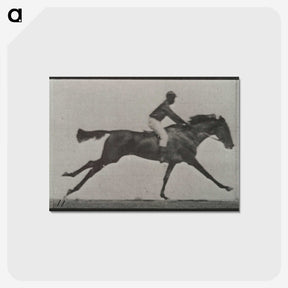 3-24_Eadweard-Muybridge_postcard