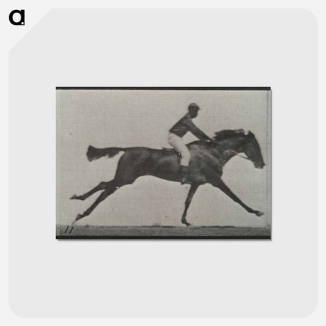 アートポストカード-Galloping Horse and Rider
 - エドワード マイブリッジ Postcard.