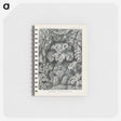 3-24_Ernst-Haeckel_memo