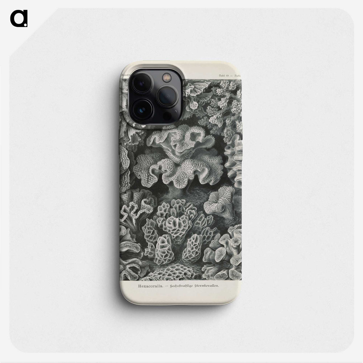 3-24_Ernst-Haeckel_phone