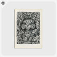 3-24_Ernst-Haeckel_postcard
