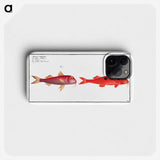 3-24_Ichtyologie-ou-Histoire-naturelle_phone
