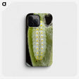 3-24_Insects-Unlocked-Project_phone