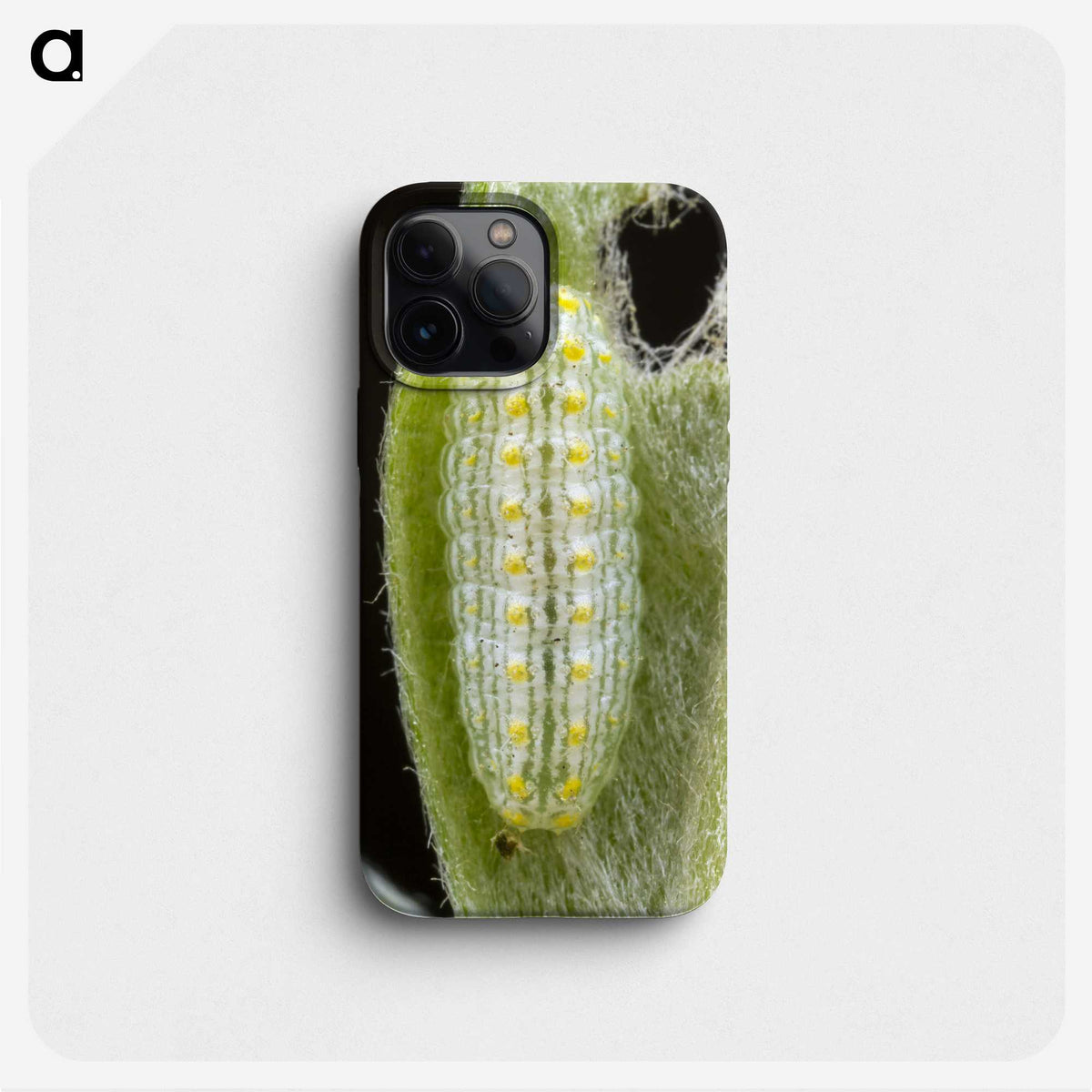3-24_Insects-Unlocked-Project_phone