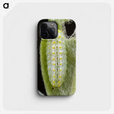 3-24_Insects-Unlocked-Project_phone
