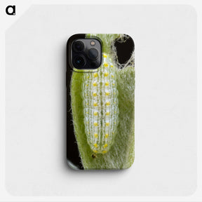 3-24_Insects-Unlocked-Project_phone