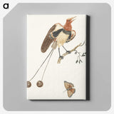 3-24_Johan-Teyler_canvas