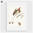 3-24_Johan-Teyler_picture