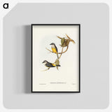 3-24_John-Gould_blk-crop