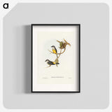 3-24_John-Gould_blk