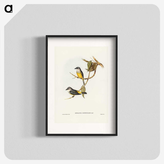 3-24_John-Gould_blk