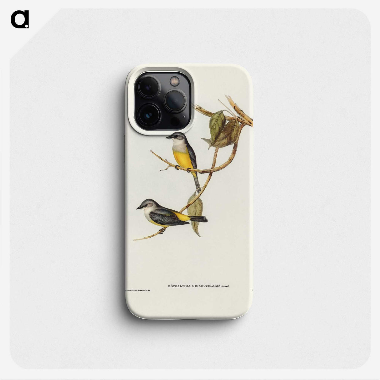 3-24_John-Gould_phone