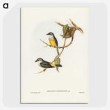 3-24_John-Gould_picture-crop