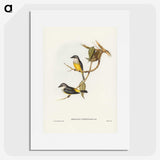 3-24_John-Gould_picture