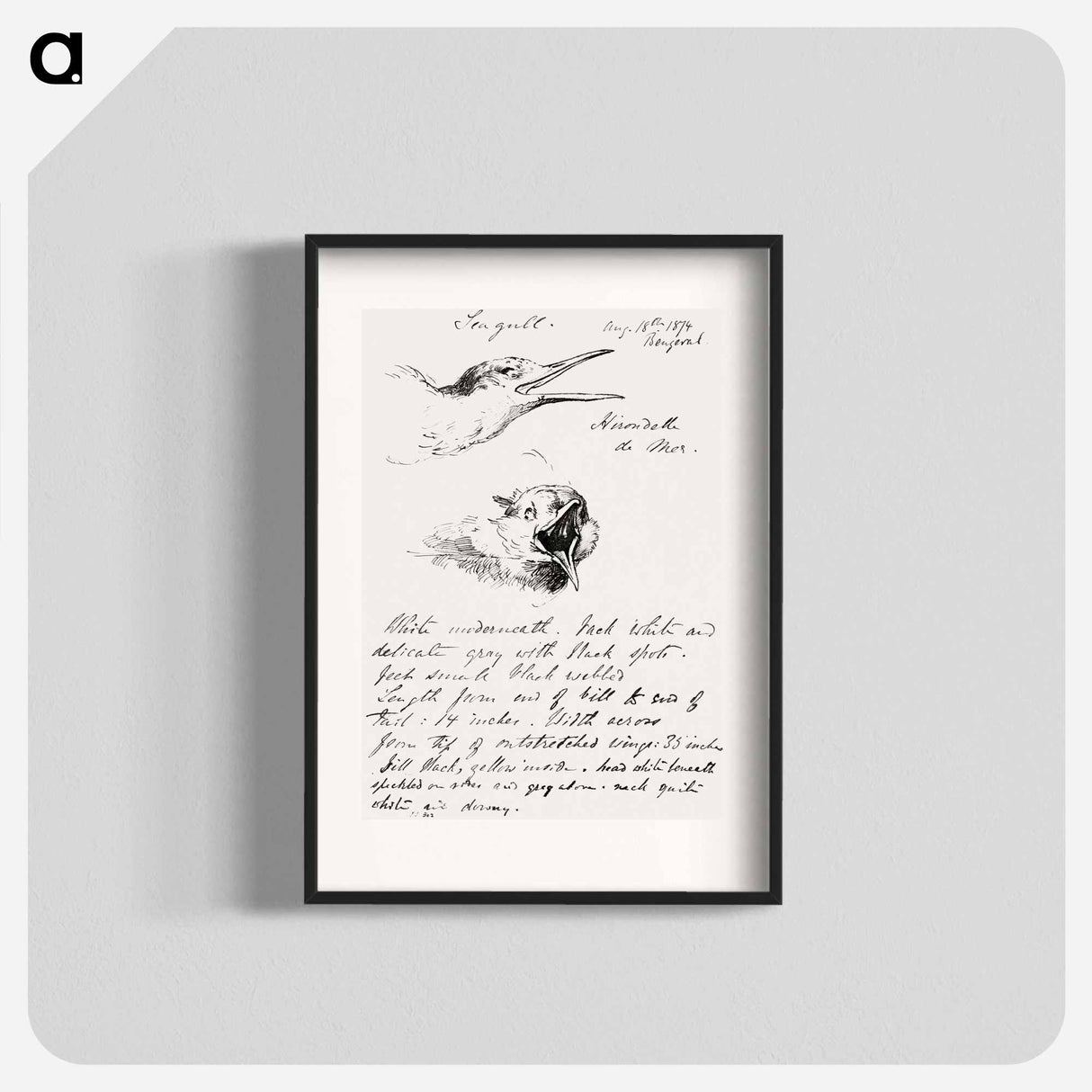 Seagull - John Singer Sargent Poster.