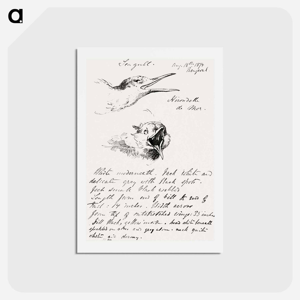 アートポストカード-Seagull - ジョン シンガー サージェント Postcard.