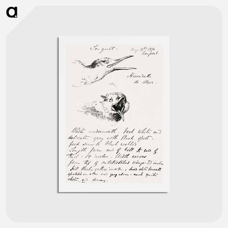 アートポストカード-Seagull - ジョン シンガー サージェント Postcard.