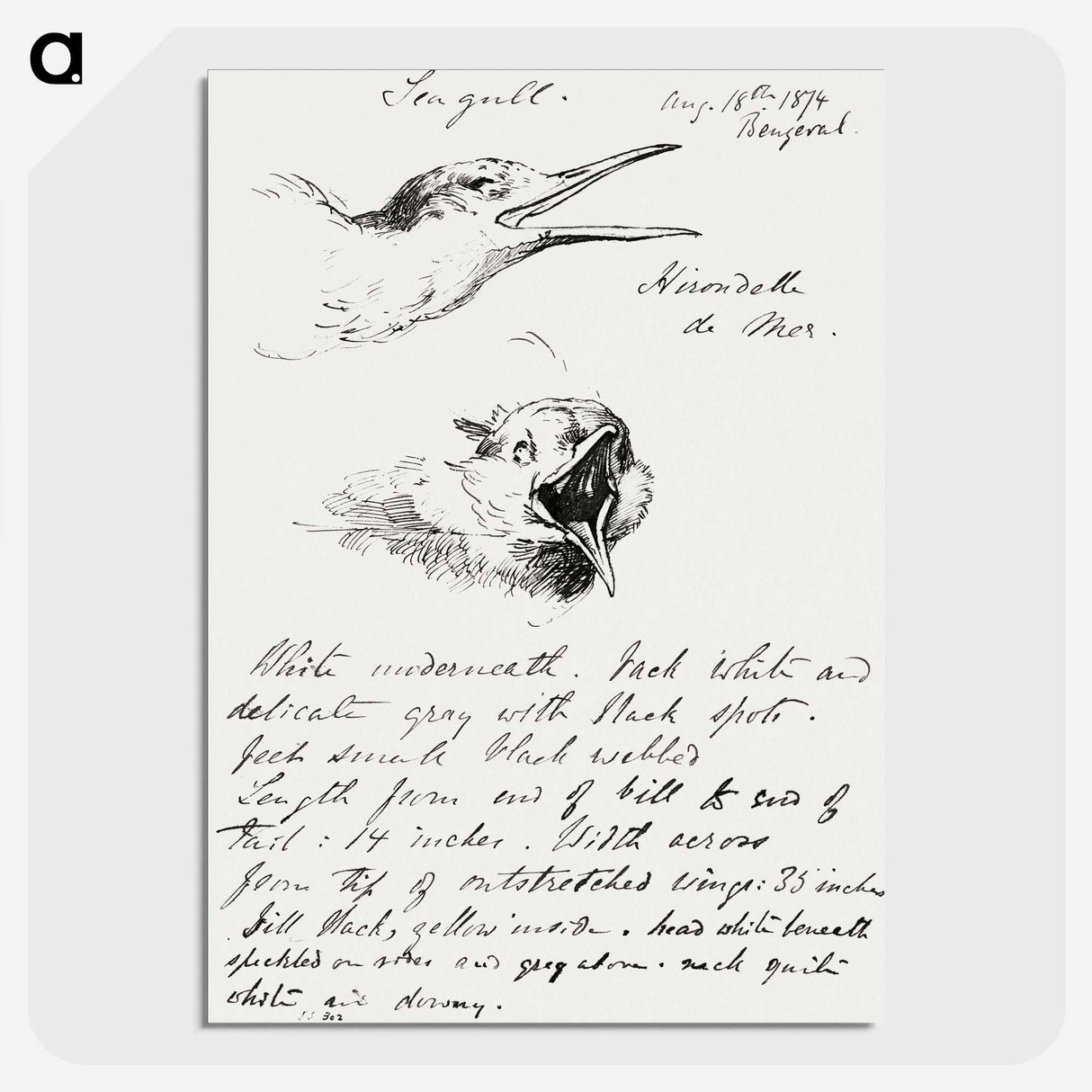 3-24_John-Singer-Sargent_picture-crop