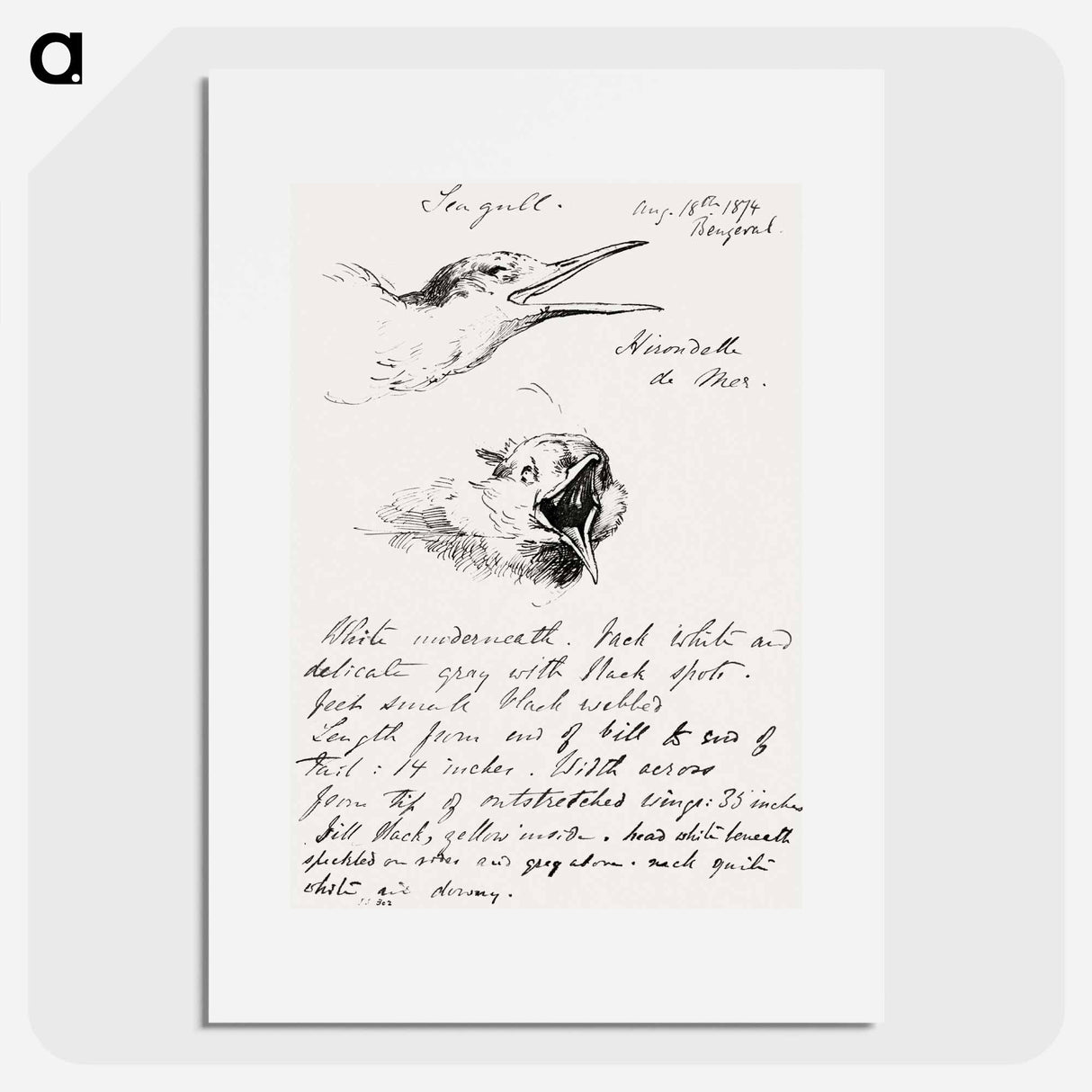 Seagull - John Singer Sargent Poster.