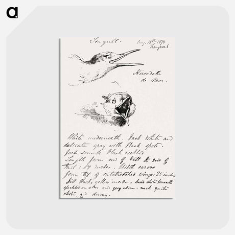 アートポストカード-Seagull - ジョン シンガー サージェント Postcard.