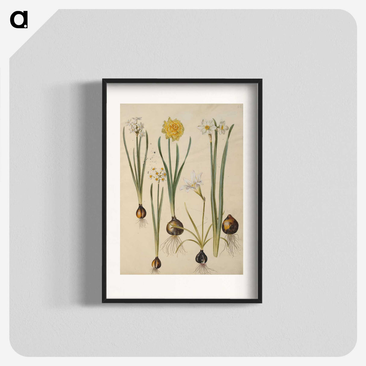 3-24_Maria-Sibylla-Merian_blk