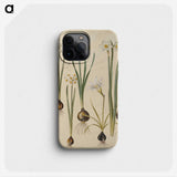 3-24_Maria-Sibylla-Merian_phone