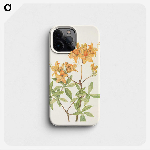3-24_Mary-Vaux-Walcott_phone