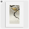 3-24_Ohara-Koson_picture