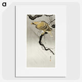 3-24_Ohara-Koson_picture
