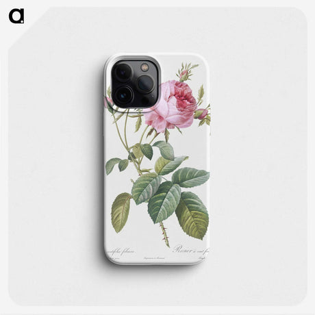 3-24_Pierre-Joseph-Redoute_phone