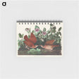 アートメモ帳-Key-west Dove from Birds of America
 - アメリカの鳥たち Memo.