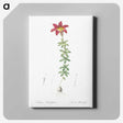 3-24_The-Lilies_canvas