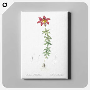 3-24_The-Lilies_canvas