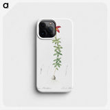 3-24_The-Lilies_phone