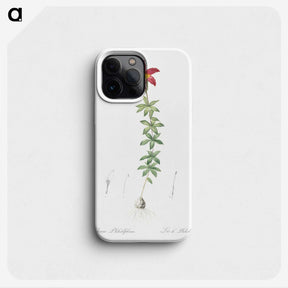 3-24_The-Lilies_phone