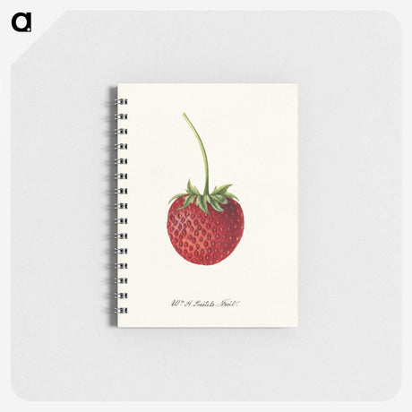 3-24_USDA-Watercolor-Fruit-Painting-Collection_memo