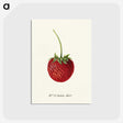 3-24_USDA-Watercolor-Fruit-Painting-Collection_postcard