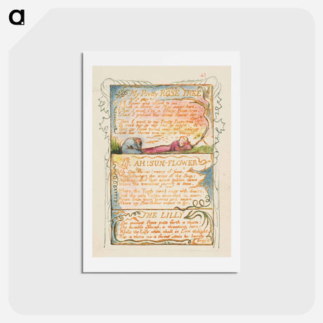 アートポストカード-Songs of Innocence and of Experience: My Pretty Rose Tree, Ah! Sun-Flower, The Lily - ウィリアム ブレイク Postcard.