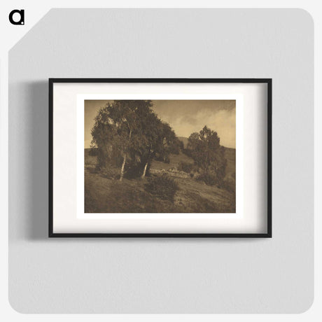 3-25_Alfred-Stieglitz_blk
