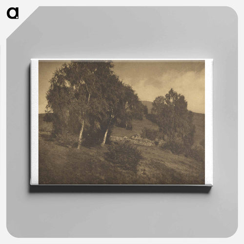Landscape, The Tyrol - アルフレッド スティーグリッツ Canvas.