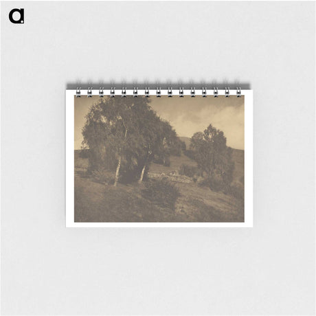 3-25_Alfred-Stieglitz_memo