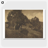 3-25_Alfred-Stieglitz_picture-crop