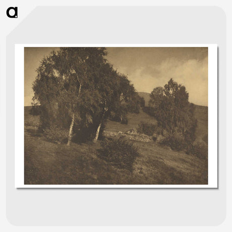3-25_Alfred-Stieglitz_picture-crop