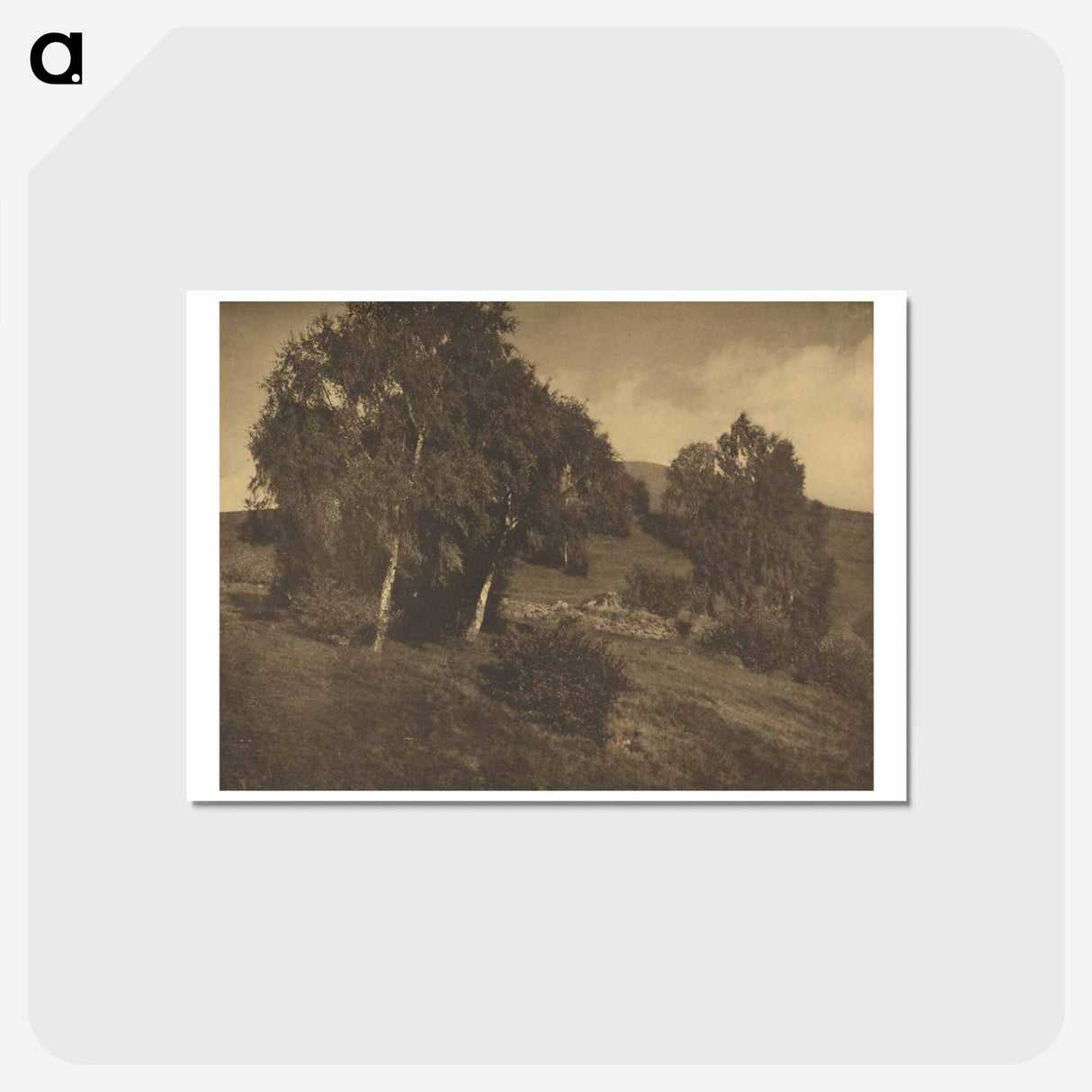 アートポストカード-Landscape, The Tyrol - アルフレッド スティーグリッツ Postcard.