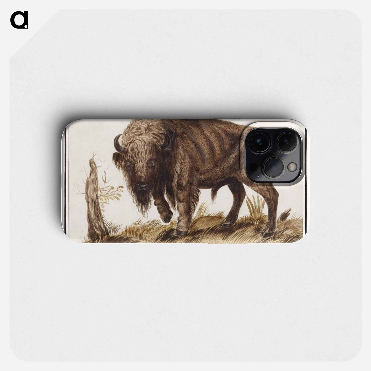 Wisent or European bison - アンセルムス ボエティウス デ ブート Phone Case.