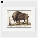 3-25_Anselmus-Boetius-de-Boodt_picture