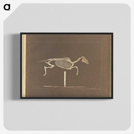 3-25_Eadweard-Muybridge_blk-crop
