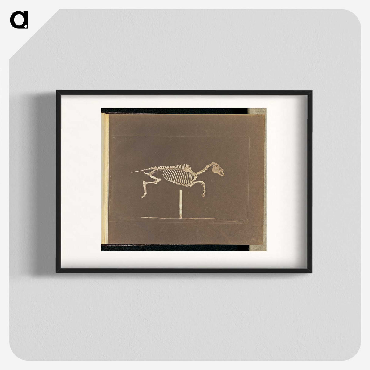 3-25_Eadweard-Muybridge_blk