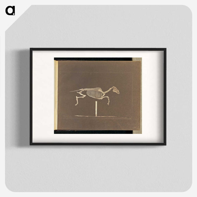 3-25_Eadweard-Muybridge_blk