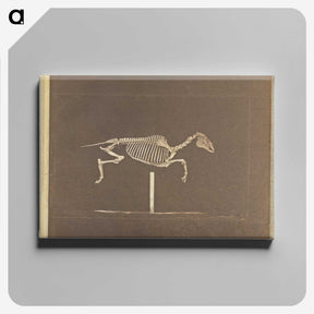 3-25_Eadweard-Muybridge_canvas